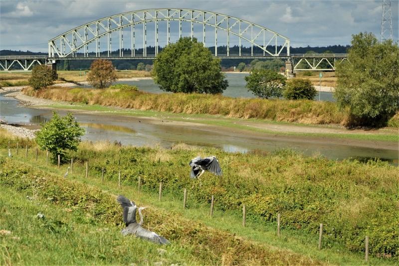 bdFoto 10.JPG - In en om Arnhem 